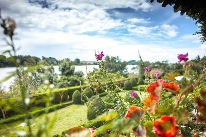 Fleurs et Loire